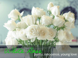 White Rose Meaning