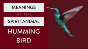 Hummingbirds Symbolize