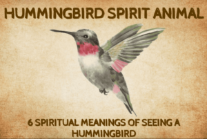 Meaning of Hummingbird