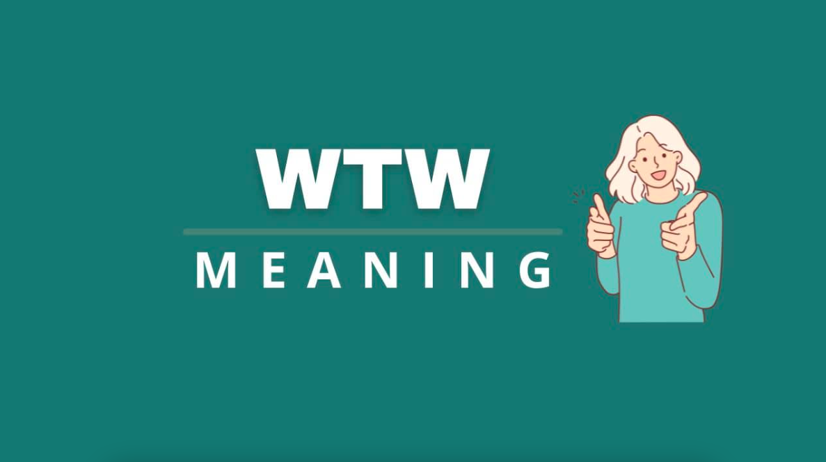 WTW Meaning in Text (2024)