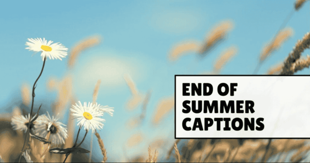 Chasing the Last Rays: End of Summer Captions (2024)