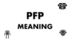 PFP Meaning in text