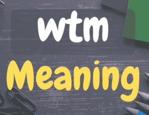 WTM Meaning Snapchat