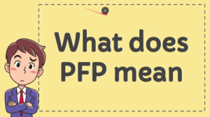 What Does PFP Mean