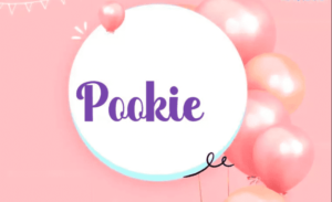 meanings of pookie