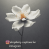 simplicity captions for instagram