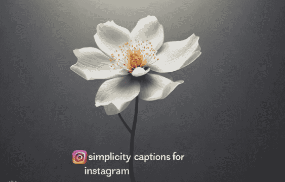 simplicity captions for instagram