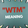 wtm meaning in text