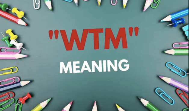 WTM Meaning in Text & in Snapchat (2024)