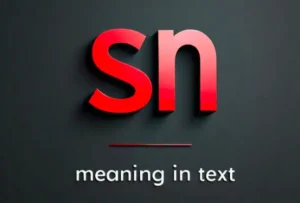 SN meaning