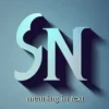 sn meaning in text